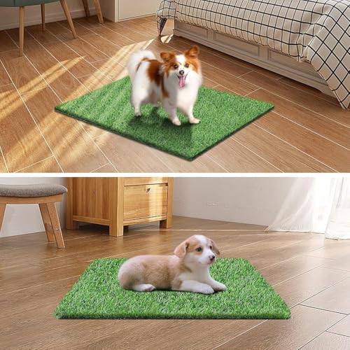 23.5 x 19.5 inches Artificial Grass Turf for Dogs, Fake Grass Potty Training Mat for Dogs, Puppy Turf Pee Pad on Indoor and Outdoor - size: 23.5 x 19.5 Inch (Pack of 1)