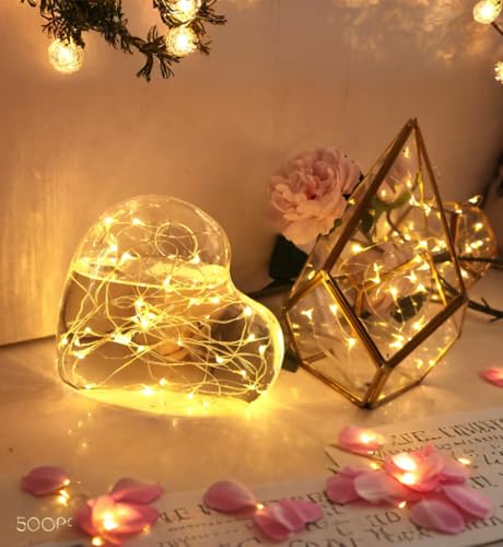 6 Pack Fairy Lights Battery Operated with Timer 2PCS Remote 6.5ft 20LED Warm White Twinkle Lights Waterproof Silver Wire Fireflies Lights DIY Mason Jar Wedding Party Christmas Centerpiece Table Deco - color: Warm White, size: 6.5ft