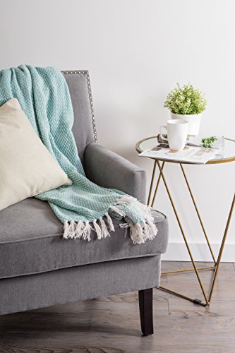 DII 100% Cotton Basket Weave Throw for Indoor/Outdoor Use Camping Bbq's Beaches Everyday Blanket, 50 x 60, Woven Stripe - color: Aqua, size: 50x60"