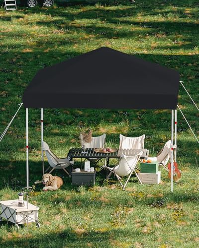 10x10 Pop Up Canopy Tent Outdoor Canopy with No Removable Sidewall One-Person Set Up Heavy Duty Commercial Instant Tent Shelter-Black - color: Black, size: 10x10FT/0-Sidewall