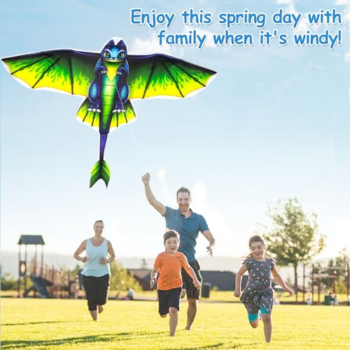 2 Pack Patriotic Eagle & Dragon & Butterfly Kite for Kids and Adults, Easy to Fly Huge Kites for Kids Ages 4-8 8-12 with 328FT String for Beach Park Easter Gift Outdoor Games and Activities - style: 2 Pack Dragon Kites
