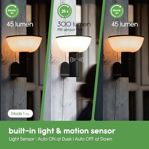 Basin Series - Solar Wall Lights - Solar Porch Lights for Outside - PIR Sensor & Three Lighting Modes - Rechargeable Battery Lasts Up to 35 Hours - 2700K - IP44 Weather Resistant - 2 Pack - size: 2 Pack Wall Lights