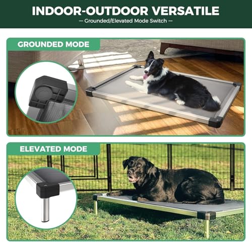 FXW TitanNest Chew-Proof Elevated Dog Bed, Raised Cot for Indoor/Outdoor/Camping Use, Durable & Washable Padded Pet Bed for Medium Dogs, 42.0" L x 27.0" W x 5.0" H, Gray - color: Gray, size: Medium Dog (42.0"l X 27.0"w X 5.0"h)