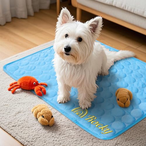 NIBESSER Personalized Dog Cooling Pad for Dog Cats Kennel Ice Silk Portable & Washable Summer Pet Self Custom Cooling Bed Blanket Crate Sleep Mat, Light Blue - color: Light Blue