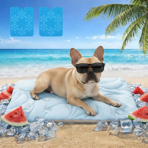 Vagascape Dog Cooling Mat New 5.0 Version Built-in Ice Pack, Long-Lasting Cool 6-8h, 30" x 20" Ultra Thick Soft Vine Pattern Pet Cooling Mat, Washable Foldable Large Cooling Pad for Indoor Outdoor - size: M(30“x20”）