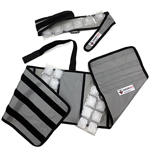 CoolerDog Dog Cooling Vest & Cooling Collar – Ice Vest for Hot Weather Heat Relief, Re-Freezable Pure Water Inserts (Large 27”–34” Girth) - size: L
