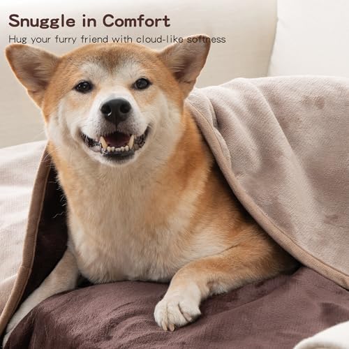 Waterproof Dog Blankets Brown, 30"x40" Cat Blanket for Indoor Cats, Soft Fluffy Sofa Car Bed Protector, Reversible Leakproof Flannel Puppy Blanket for Small Medium Dogs - color: Pure Brown, size: 30"x40"