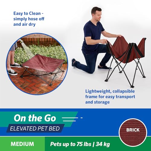 Coolaroo On-The-Go Elevated Dog Bed - Foldable Pop-Up Travel Dog Bed with Breathable, Moisture-Resistant Fabric, Carry Bag Included, Lightweight & Portable, Brick, Medium - color: Brick, style: Medium