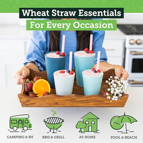 Grow Forward Premium Wheat Straw Cups - 13 & 20 oz Unbreakable BPA Free Hard Plastic Cups - Reusable Lightweight Plastic Drinking Glasses for Kitchen, Outdoor, Water, Camping, RV - Seascape - color: Seascape, size: 13/20oz