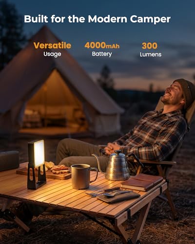Portable Camping Light, 2 Pack Rechargeable 4000mAh Dimmable LED Camping Lanterns with 360° Rotatable Stand, 2-in-1 Flashlight & Emergency Lights for Home Power Outages,Outdoor Camping Essentials - color: Black-2P