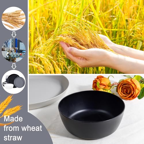 EI 12pcs Wheat Straw Plates,Wheat Straw Dinnerware Set,Plate and Bowls Sets,Plastic Plates Reusable-White,Black,Grey,Dark Grey,Dinner Plate Set of 4 Kitchen,Picnic - color: Black,White,Grey and Dark Grey Wheat Straw Plates and Bowls