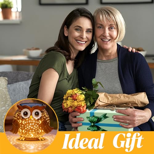 Solar Lights Outdoor Owl Garden Decor, Solar Lanterns Outdoor Waterproof Metal Hanging Lantern Solar Garden Lights for Outside Patio Yard, Lawn, Porch, Backyard Decoration - style: Owl