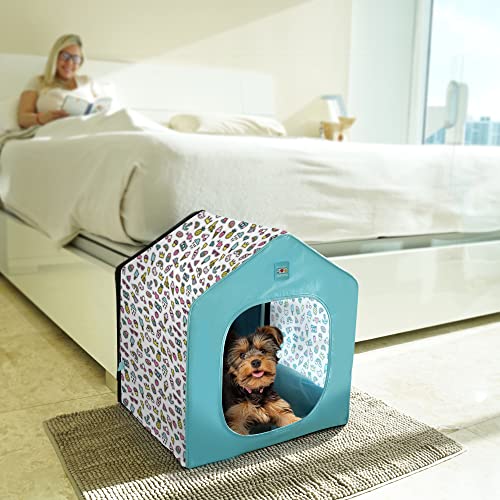 Pawtitas Portable Dog House for Small and Medium Dogs Comes with A Removable Cushion Pet Bed Mat Pillow | Anti-Slip Pad Under The House | Easy to Install, No Tools Or Screws are Required - Teal Comic