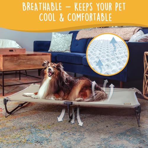 CANINE CANYON Daisy Cot, Large Foldable Elevated Dog Bed, Portable Raised Outdoor Folding Dog Cot, Cooling, Chew Proof, Waterproof, Heavy Duty Up to 160 Lbs for Camping/Home, Brown, 43"x27"x7” - color: Brown, size: Large