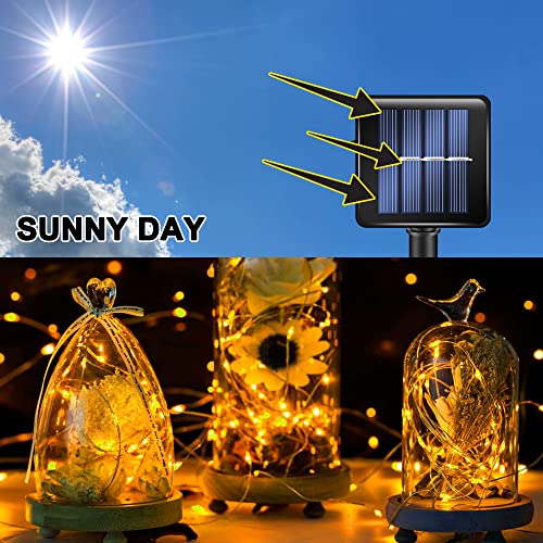 TW SHINE Warm White Solar String Lights Outdoor, Total 80 FT 240 LED Solar Powered Waterproof Fairy Lights 8 Modes Copper Wire Lights for Christmas Party Tree Wedding Yard Decorations, 2 Pack - color: Warm White, size: 2 Pack