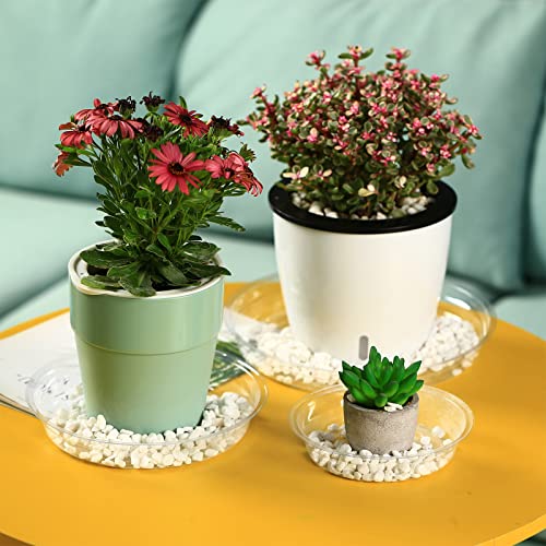 30 Packs 4 Inches Small Clear Plant Saucers for Indoor Outdoor Use Heavy Duty Plastic Plant Trays for Planter Bulk Flower Pot Drip Trays to Catch Water, 4 to 20 Inch - size: 4 Inches