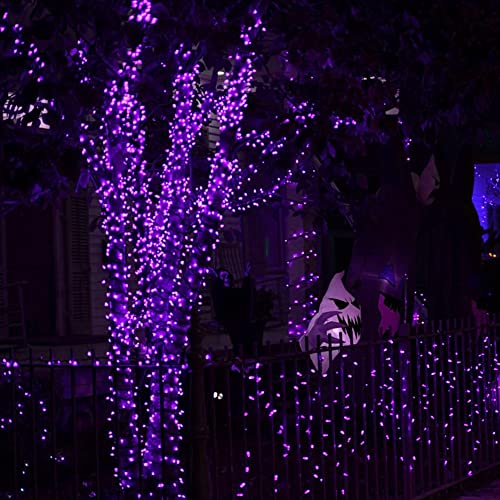 Dazzle Bright 2 Pack Halloween Fairy String Lights, Total 80FT 240 LED Solar Powered Fairy Lights with 8 Modes, Waterproof Copper Wire Lights for Outdoor Christmas Yard Party Patio (Purple) - color: Purple, size: 2 Pack