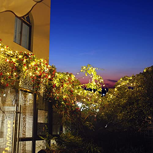 Solar String Lights 2 Pack, Outdoor Light Total 400 LED 144FT Solar Christmas Lights, 8 Modes Solar Lights Oudoor Waterproof for Tree Patio Yard Garden Christmas Parties Decoration (Warm White) - color: Warm White, size: 144ft