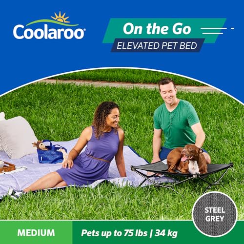 Coolaroo On-The-Go Elevated Dog Bed - Foldable Pop-Up Travel Dog Bed with Breathable, Moisture-Resistant Fabric, Carry Bag Included, Lightweight & Portable, Steel Gray, Medium - color: Steel Grey, style: Medium