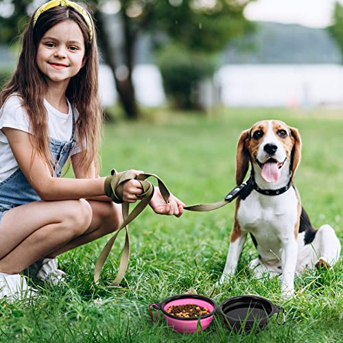 Dog Bowl Pet Collapsible Bowls, 2 Pack Collapsible Dog Water Bowls for Cats Dogs, Portable Pet Feeding Watering Dish for Walking Parking Traveling with 2 Carabiners (Small, Black & Pink) - color: Black & Pink, size: Small