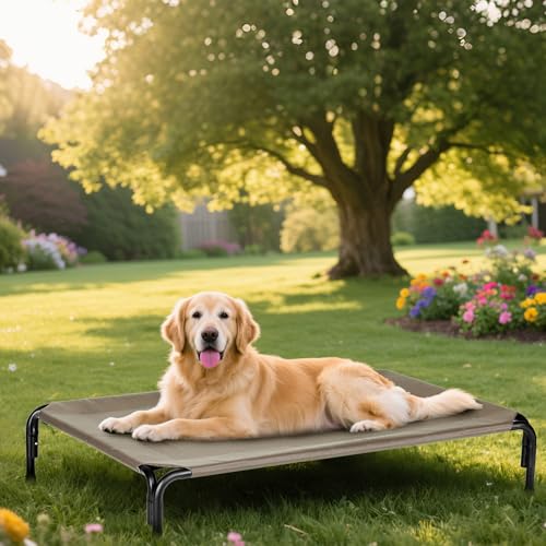 Elevated Dog Bed for Outdoor, Large Raised Dogs Cot for Training, Cooling Pet Beds with Washable Mesh, Indestructible Lifted Platform for Outside Camping, 41 inch Brown - color: Brown, size: 41"L x 27"W x 8"Th