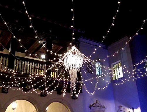 Novelty Lights 34 Feet 100 Bulb Incandescent Mini Light String, Clear with 4-Inch Spacing on White Wire, UL Listed Commercial Grade Indoor/Outdoor Mini Lights, Connectable End-to-End - color: White Wire