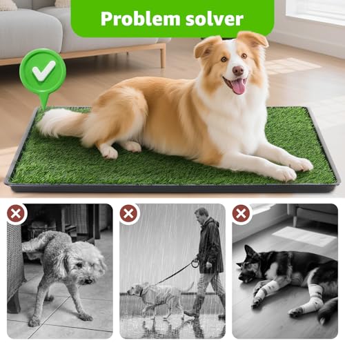 LOOBANI 35x23in Large Dog Litter Box: Dog Grass Pad with Tray with 2×Artificial Grass Pads + 1×Drainage Grate - Quickly Absorbent Portable Patio Potty for Balcony Apartment Indoor Outdoor Use
