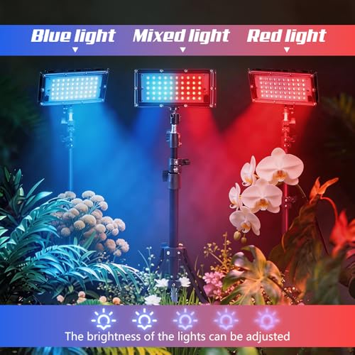Grow Light for Indoor Plants,LED Plant Grow Light with Adjustable Tripod Stand 32.7”-61.6”,Red Blue Spectrum,USB Powered with 3/9/12H Timer,360° Adjustable Panel for Seedlings,Herbs,Home Garden - color: Grow Light
