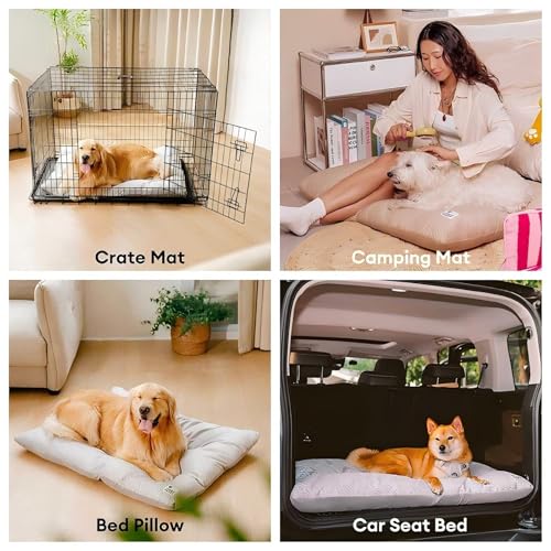 FUNNY FUZZY 30x20 Washable Dog Bed Crate Mat, 2 in1 Pet Pillow Sleeping Bed, Fluffy Deluxe Kennel Mattress for Medium Dog and Cat,Charcoal Grey,M,Beige - color: Beige, size: 30"×19" Medium