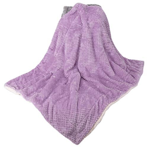 Fuzzy Dog Blanket or Cat Blanket or Pet Blanket, Warm and Soft, Plush Fleece Receiving Blankets for Dog Bed and Cat Bed, Couch, Sofa, Travel and Outdoor, Camping (Blanket (24" x 32"), DW-Lavender) - color: Dw-lavender, size: Blanket (24" x 32")