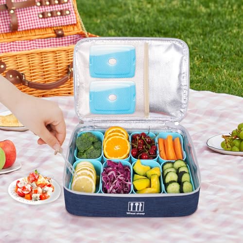 Snack Box Container with Insulated Cooler Bag, Divided Serving Tray with Lid and Handle Beach Essentials, Snackle Box Veggie Fruit Tray with 8 Compartments & 8 Forks & 2 Spoon Blue - size: Blue