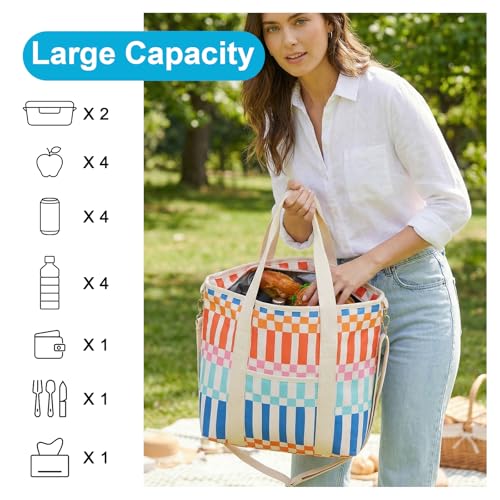 Nanxson 9L/15L/29L Extra Large Insulated Lunch Bag for Women Adult Reusable Leakproof Picnic Lunch Box Freezable Cooler Tote Bag (29L,B-Multicoloured Plaid) - color: B-Multicoloured Plaid, size: 29L