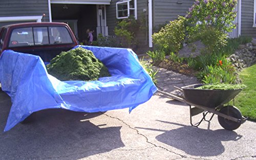 Dry Top 81012 Multi-Purpose Economy Poly Tarp, 10x12 Feet, Blue