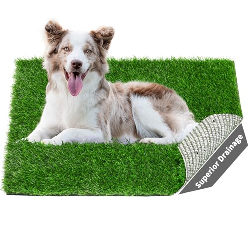Artificial Dog Grass Pee Pad 20”x 25” 2 Pack, Grass Pad for Dogs Indoor Potty Training, Replacement Turf for Puppy, Washable Reusable Realistic Fake Grass Mat for Apartment, Balcony - size: 20"x25"