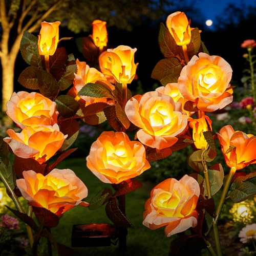 Brightown Outdoor Solar Flower Lights, 4 Pack Solar Garden Light with Larger & More Realistic Champagne Rose, Bigger Solar Panel, Waterproof Solar Lights Outdoor for Yard Garden Lawn Pathway Decor - color: Champagne Rose