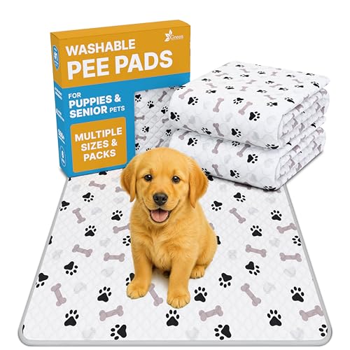 GREEN LIFESTYLE Washable Pee Pads for Dogs - Waterproof Reusable Puppy Pads with Anti-Slip Backing, Pet Training Pad for Puppy Playpen, Crate, Whelping Box, Potty Training (Pack of 2 - 41x41) - size: 41x41