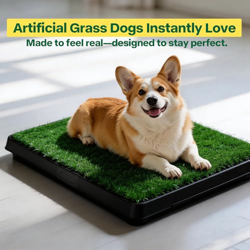 Pawise Dog Grass Pad with Tray, 20x25 Inch Artificial Turf Puppy Potty Pad, Indoor Outdoor Dog Toilet with Pull-Out Drawer & Free Garbage Bags, Dogg Litter Box for Potty Training - size: Large