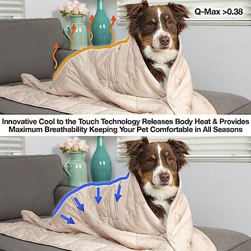 PetFusion Premium Cat and Dog Cooling Blanket | Lightweight | Machine Washable | Multiple Sizes: for Pets Small to Extra-Large | Multiple Colors: Grey and Brown Blanket - color: Cool Brown, size: Small (27x31 inch)