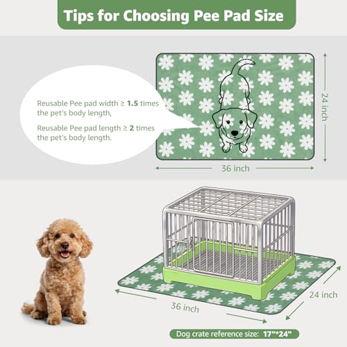 LOOBANI Washable Puppy Pads: Waterproof Reusable Pee Pads for Dogs, Non-Slip and Leak-Proof Dog Pee Mat, Absorbent Dog Training Pads for Puppy Playpen, Crate, Potty Training (36"x24", 2 Packs) - color: Green Daisy, size: 36"x24"(Pack of 2)