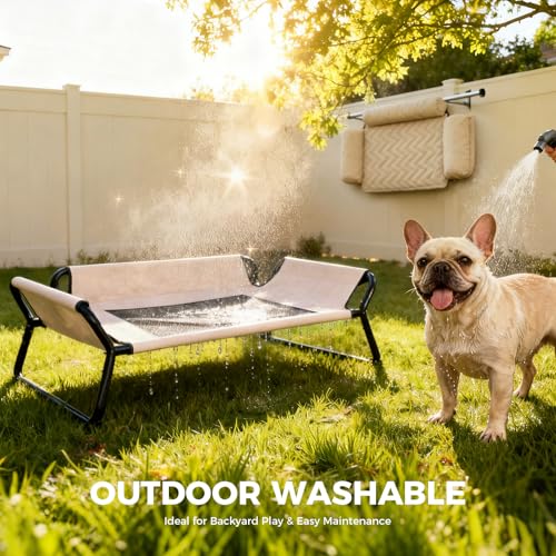 Lekereise Cooling Elevated Outdoor Dog Bed Cot + Orthopedic Indoor Small Dog Sofa Bed, Washable Cover & Sturdy X-Frame, 37x21.5inches, Medium, Beige