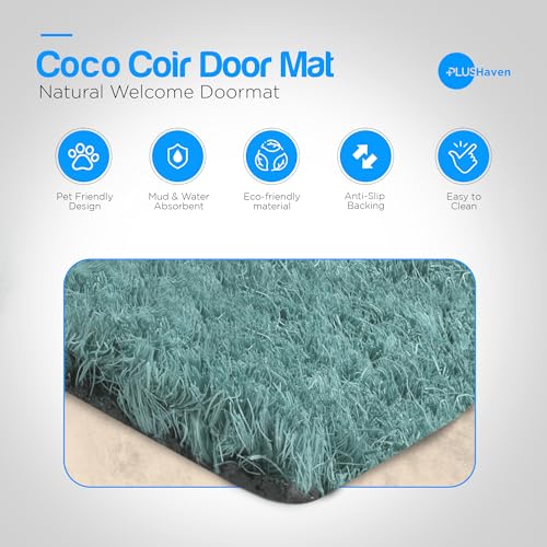 PLUS Haven Coco Coir Door Mat with Heavy Duty Backing, Natural Welcome Blue Abstract Doormat, 17.5”x 30” for Entrance, Front Porch, Easy to Clean Entry Mat, Outdoor and Indoor Uses - color: Blue Abstract