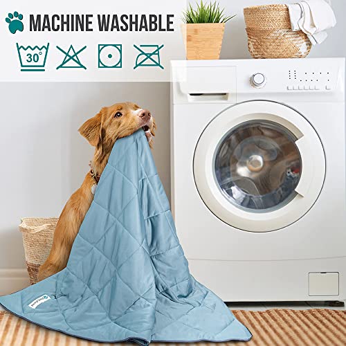PetAmi Premium Cooling Dog Blanket | Lightweight Fluffy Pet Throw Blanket Bed Cover for Dogs, Cat, Puppies | Pet Blanket Furniture Protector Couch Sofa | Reversible Fuzzy Cozy | 60x80, Dusty Blue - color: Dusty Blue, size: X-Large (60x80)