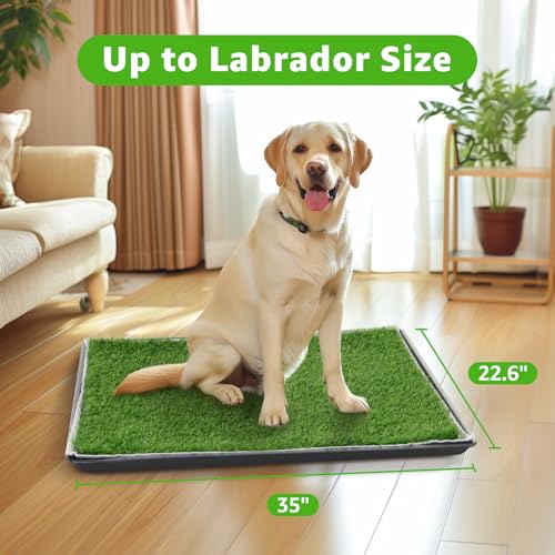 Dog Grass Large Potty Patch, Dog Litter Boxes Artificial Grass Bathroom Turf for Pet Training, Washable Puppy Pee Pad, Perfect Indoor/Outdoor Portable Potty Pet Loo (Tray system-35"X22.6") - size: L-35"X22.6"