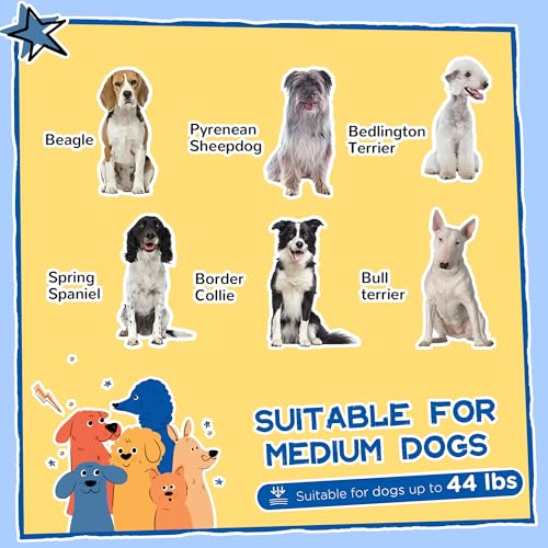 PawHut Outside Cabin-Style Wooden Dog House for Large Dogs with Openable Roof & Giant Window, Outdoor & Indoor Big Dog Shelter, Asphalt Roof, Yellow - color: Yellow