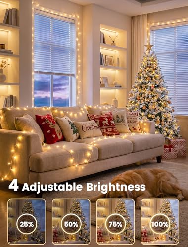 String Lights Indoor Bedroom,98FT 200 LED Fairy String Lights Outdoor Waterproof, Memory Twinkle Christmas Light Plug in for Classroom Dorm Patio Tree Garden Decor(Warm White with Remote) - color: Warm White, size: 200LED with Remote