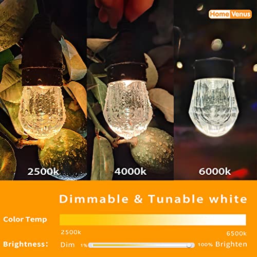 HVS Smart Outdoor String Lights LED 24Ft 12Bulbs Tunable Dimmable Warm White Waterproof Shatterproof Cafe Patio Lights,APP Control 2.4GHZ WiFi Alexa Google Balcony Backyard Porch(3 Core Wire, WW-24FT)
