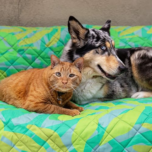 Waterproof Blanket, 60”x70” - Large Couch Cover for Dogs and Pets - Ideal for Picnics, Outdoor, Camping, Beach and More - Large, Washable Protector - color: Green / Pink