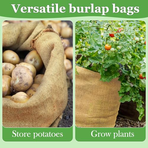 CWLAKON 6 Pack Large Burlap Potato Sack Race Bags for Kids Adults, Field Day Family Reunion 4th of July Easter Halloween Game, Outdoor Camping Picnic Birthday Party Outside Yard Lawn Carnival Games - size: Pack of 6 Burlap