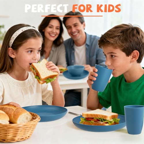 Wheat Straw Dinnerware Sets for 4, Reusable Plastic Dinner Plates, Unbreakable Kids Plates and Bowls Sets 20 PCS, Dishwasher & Microwave Safe Kitchen Camping Dorm Dish Sets- Blue - color: Blue, size: 20 PCS