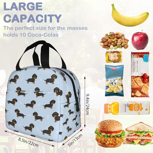 Dachshund Dog Lunch Box,Insulated Lunch Bag for Girls Boys,Reusable Lunch Box for Kids Adults School Student Work Picnic Travel - color: Dachshund Dog